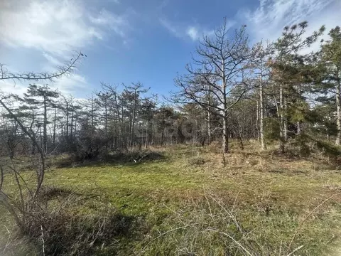 Участок в Крым, Алушта муниципальный округ, пос. Семидворье  (48.0 ...