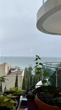 1-к кв. Краснодарский край, Сочи Курортный просп., 105б (63.0 м)