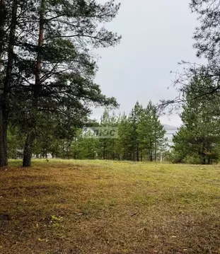 Участок в Самарская область, Шигонский район, Муранка с/пос, Муранский ...