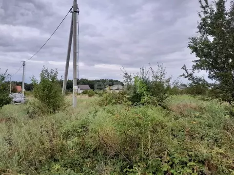 Участок в Калининградская область, Гурьевский муниципальный округ, ...