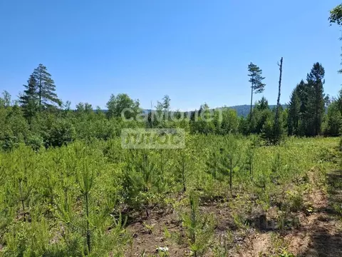 Участок в Иркутская область, Иркутский муниципальный округ, д. ...