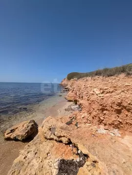 Участок в Крым, Черноморский район, с. Окуневка  (6.0 сот.)