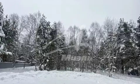 Участок в Владимирская область, Киржачский район, Филипповское ...