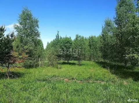 Участок в Ярославская область, Некрасовский муниципальный округ, ...