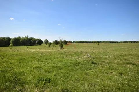 Участок в Владимирская область, Кольчугинский муниципальный округ, д. ...