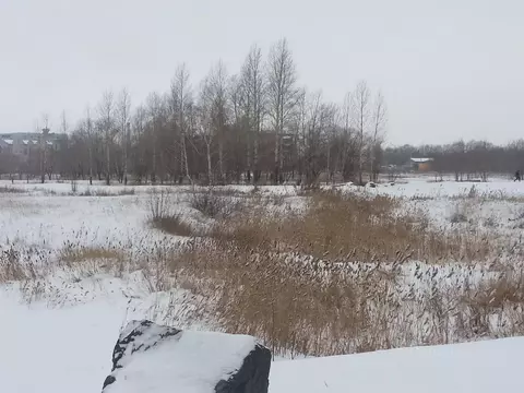 Участок в Омская область, Омск ул. 2-я Солнечная, 25 (2.0368 сот.)