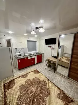 1-к кв. Ростовская область, Таганрог Добролюбовский пер., 21 (25.0 м)