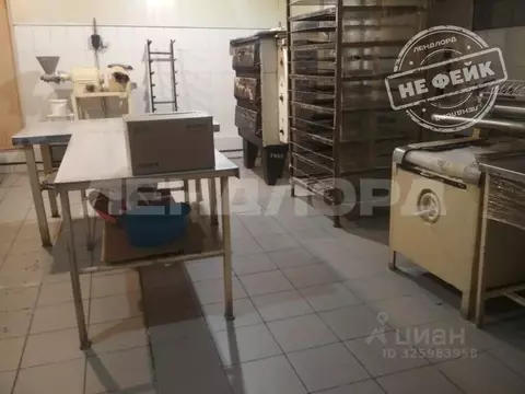 Производственное помещение в Ростовская область, Аксай пер. ...