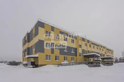 Студия Пермский край, Пермский муниципальный округ, пос. Красный ...