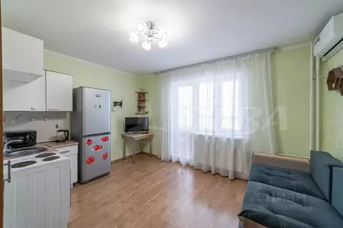 Студия Тюменская область, Тюмень ул. Новоселов, 107к1 (22.7 м)