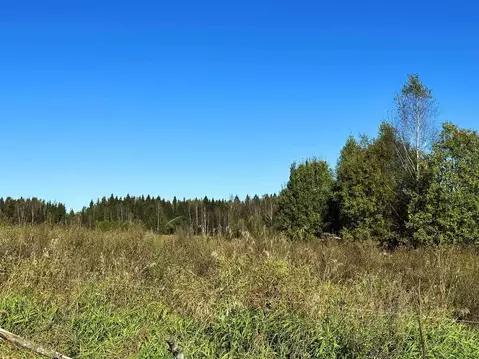 Участок в Московская область, Дмитровский муниципальный округ, Ерыково ...