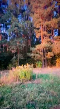 Участок в Москва № 106 кв-л, 71 (75.6 сот.)