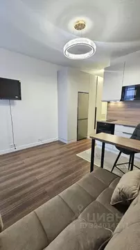 Студия Москва просп. Прокшинский, 5 (21.5 м)