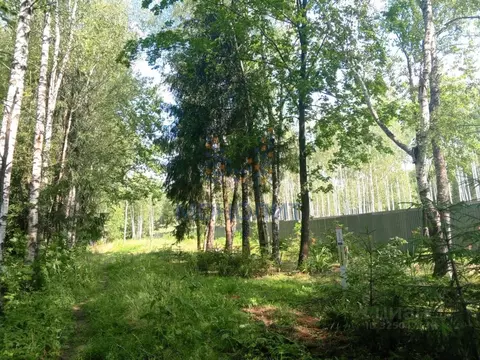 Участок в Московская область, Подольск городской округ, д. Жарково ул. ...