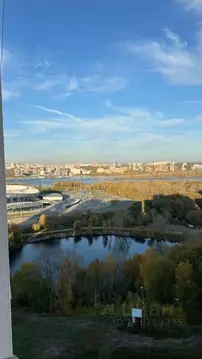 Студия Новосибирская область, Новосибирск ул. Немировича-Данченко, ...