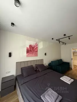 1-к кв. Санкт-Петербург ул. Парфеновская, 6к2 (47.0 м)