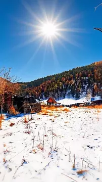 Участок в Алтай, Чемальский район, Элекмонарское с/пос, с. Элекмонар ...