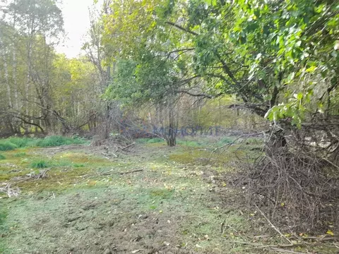 Участок в Нижегородская область, Сокольский муниципальный округ, д. ...