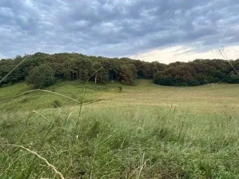 Участок в Краснодарский край, Краснодар  (3.8 сот.)