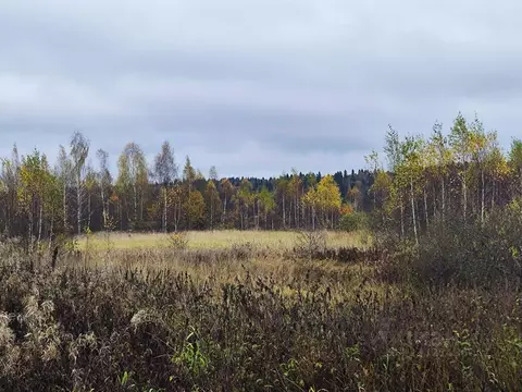 Участок в Московская область, Солнечногорск городской округ, д. Мостки ...
