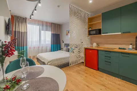 Студия Санкт-Петербург дор. На Турухтанные острова, 5к1 (25.0 м)