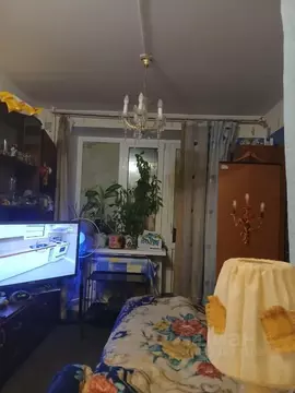 Студия Санкт-Петербург Загребский бул., 21 (25.0 м)