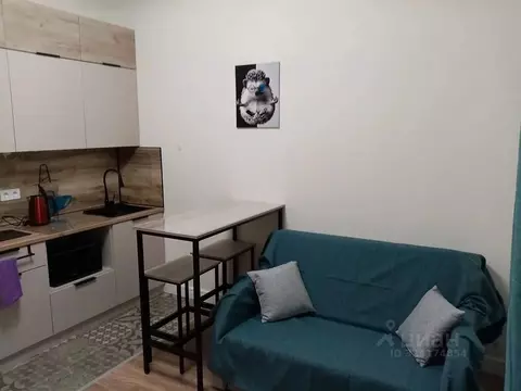 Студия Москва бул. Скандинавский, 14 (20.0 м)