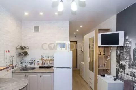 Студия Тюменская область, Тюмень ул. Новоселов, 115 (21.0 м)