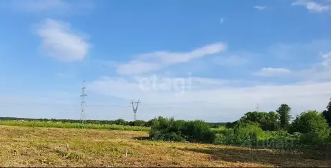 Участок в Калужская область, Балабаново Боровский район,  (7.0 сот.)