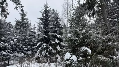 Участок в Ленинградская область, Ломоносовский район, Кипенское с/пос, ...