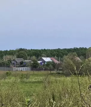 Участок в Московская область, Шатура муниципальный округ, с. Митинская ...