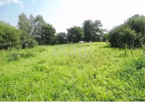 Участок в Брянская область, Брянский район, Новодарковичское с/пос, д. ...