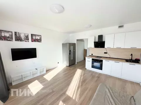 Студия Ленинградская область, Всеволожский район, д. Новое Девяткино ...