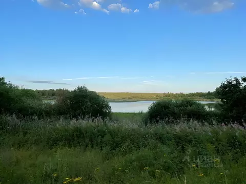 Участок в Новгородская область, Валдайский район, Костковское с/пос, ...