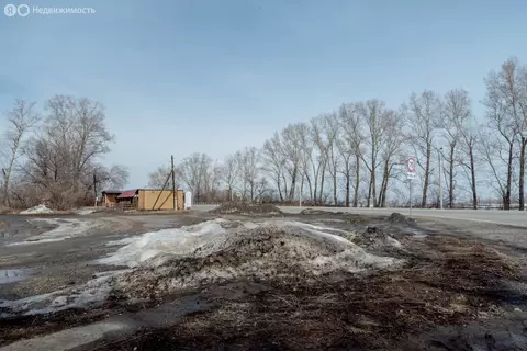 Участок в село Верх-Катунское, Октябрьская улица (13.09 м)