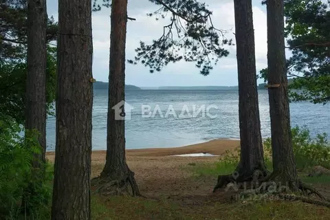 Участок в Ленинградская область, Приозерский район, Громовское с/пос, ...