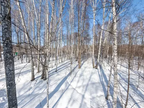 Участок в Тюменская область, Нижнетавдинский муниципальный округ, ...