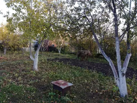 Дом в Челябинская область, Челябинск Нефтяник СНТ, ул. 13-я (12 м)