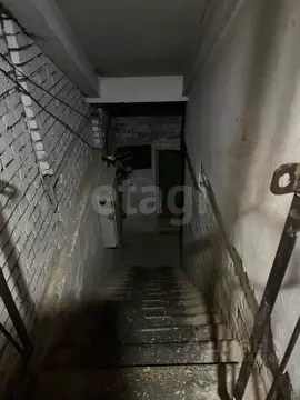 Помещение свободного назначения в Коми, Ухта Первомайская ул., 2 (233 ...