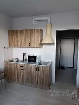 Студия Московская область, Люберцы городской округ, д. Островцы ул. ...