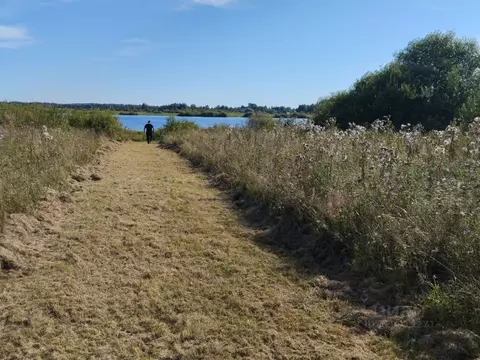 Участок в Новгородская область, Шимское городское поселение, д. Старый ...