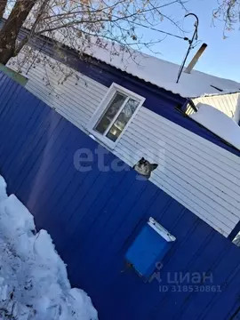 Дом в Амурская область, с. Константиновка ул. Ленина, 116 (54 м)