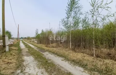 Участок в Тюменская область, Нижнетавдинский район, Душевное садовое ...