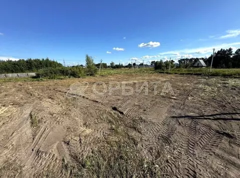 Участок в Тюменская область, Тюменский муниципальный округ, с. Борки  ...