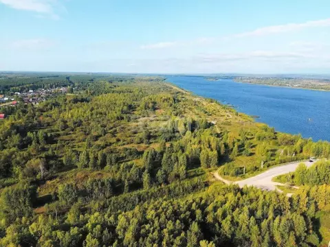 Участок в Ярославская область, Некрасовский муниципальный округ, с. ...