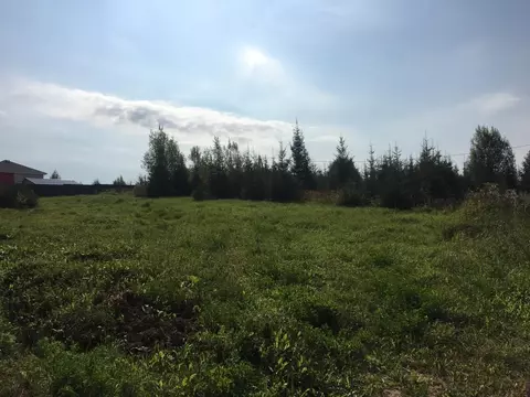 Продается участок в д. Кострово