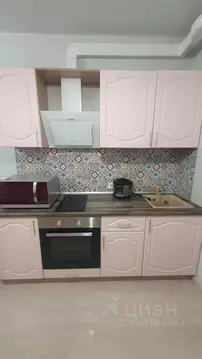 Студия Санкт-Петербург Комендантский просп., 60к1 (26.0 м)