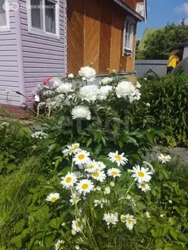 Дом в Ярославская область, Рыбинский муниципальный округ, ...