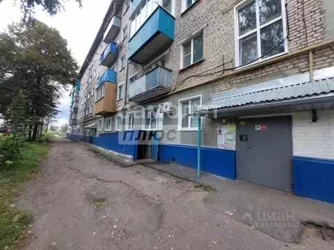 1-к кв. Пензенская область, Кузнецк ул. Леваневского, 50 (30.4 м)