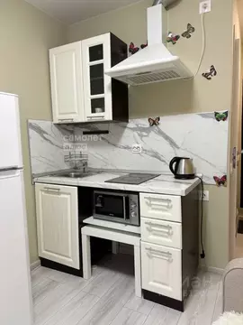 Студия Москва ул. Коненкова, 11Б (13.3 м)